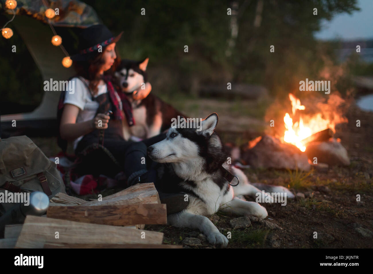 Donna con cani sulla natura Foto Stock