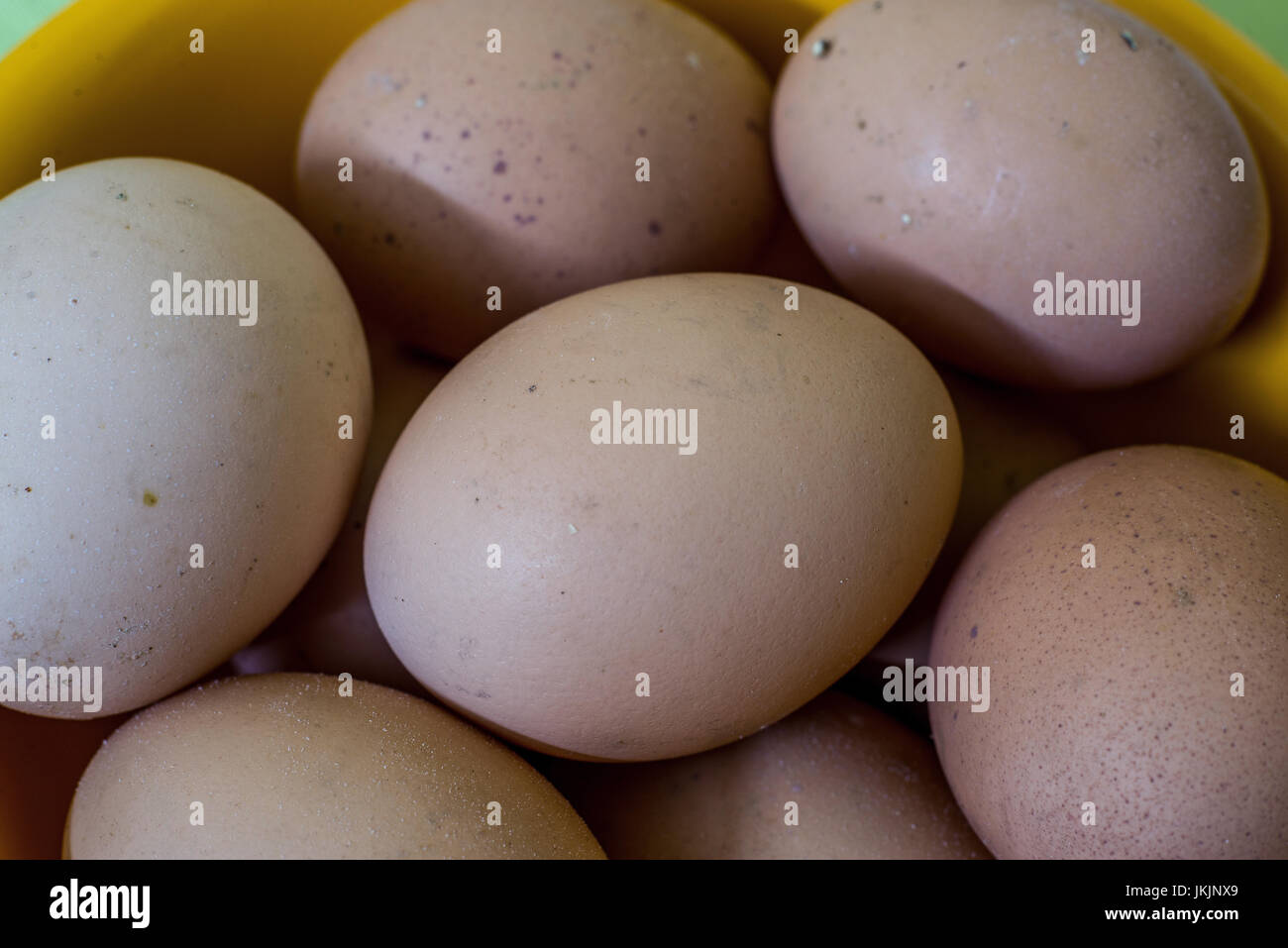 Una macro shot del paese Indiano le uova di gallina in un cestello Foto Stock