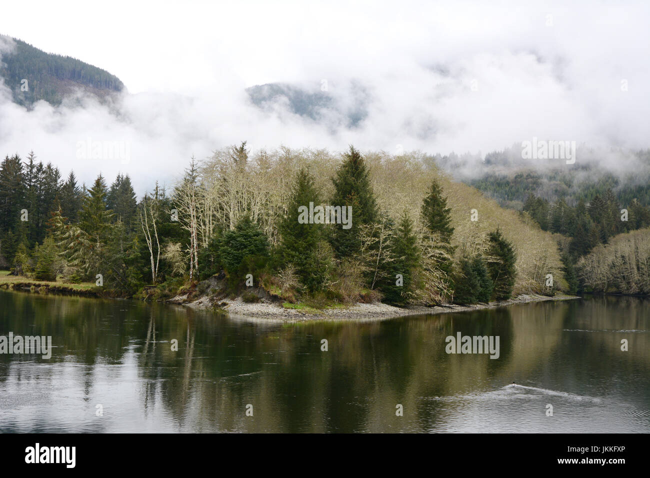 Misty rainforest presso il fiume San Juan e di estuario, vicino al West Coast Trail, in Port Renfrew,l'isola di Vancouver, British Columbia, Canada. Foto Stock