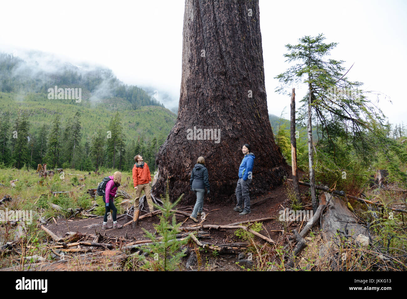 Ambientalisti canadesi in piedi alla base del grande "Lonely Doug,' un gigante di abete Douglas in una chiara definizione, vicino a Port Renfrew, British Columbia, Canada. Foto Stock