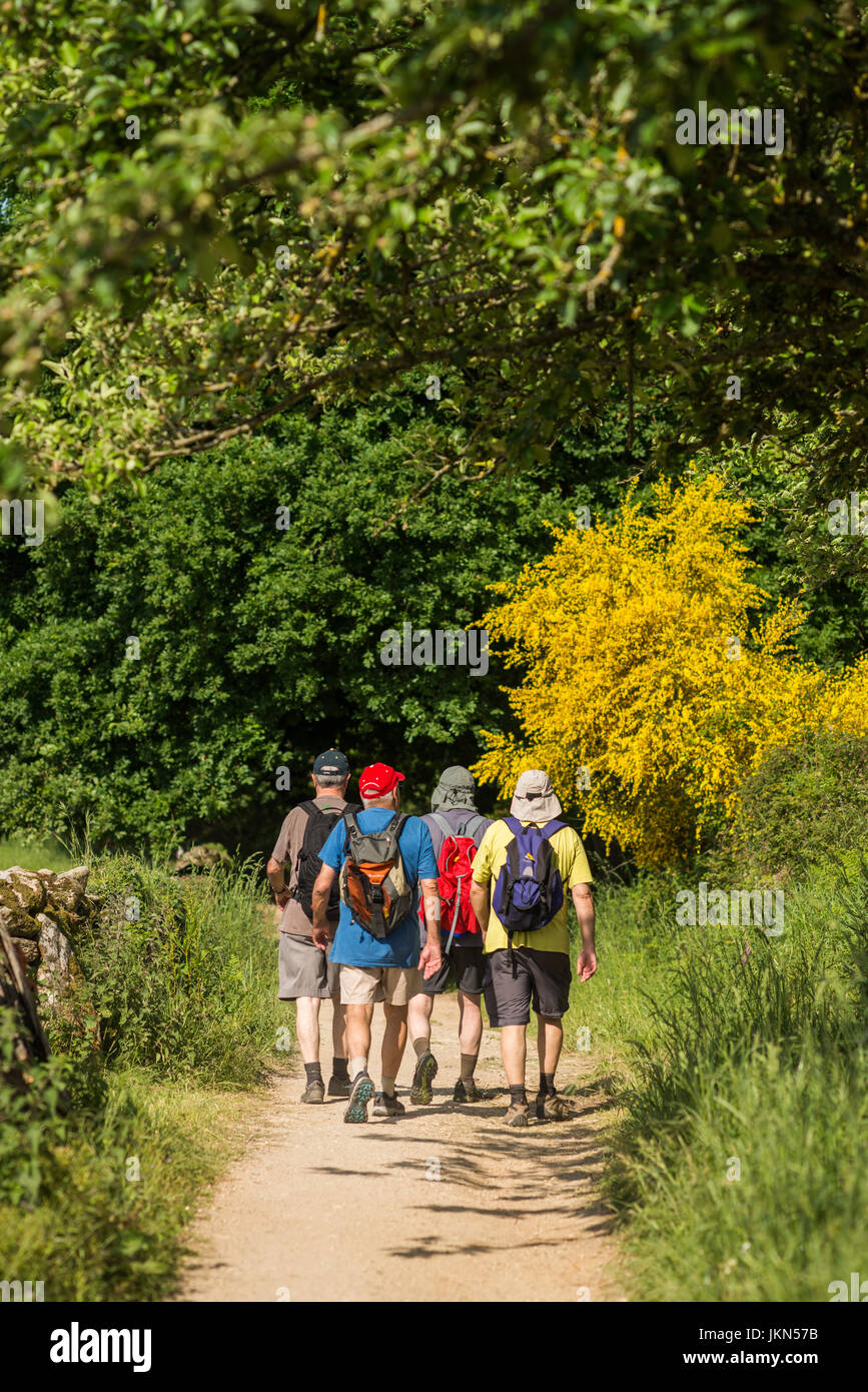 Pellegrini a piedi nei boschi in Galizia, Spagna. Camino de Santiago. Foto Stock