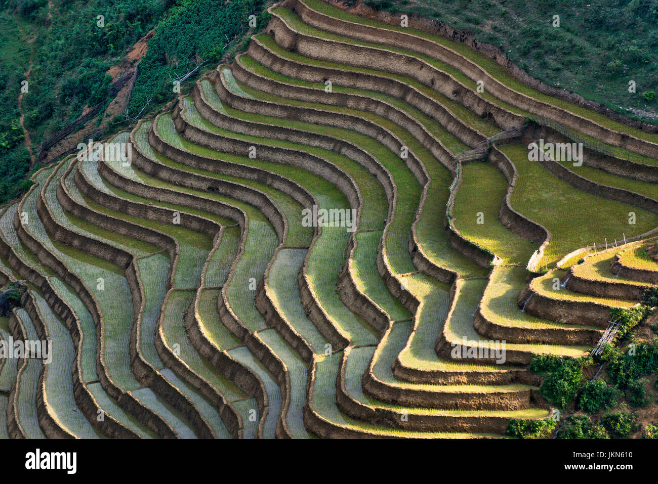 Vista panoramica delle risaie vicino a Sapa, nel Vietnam del nord. Foto Stock