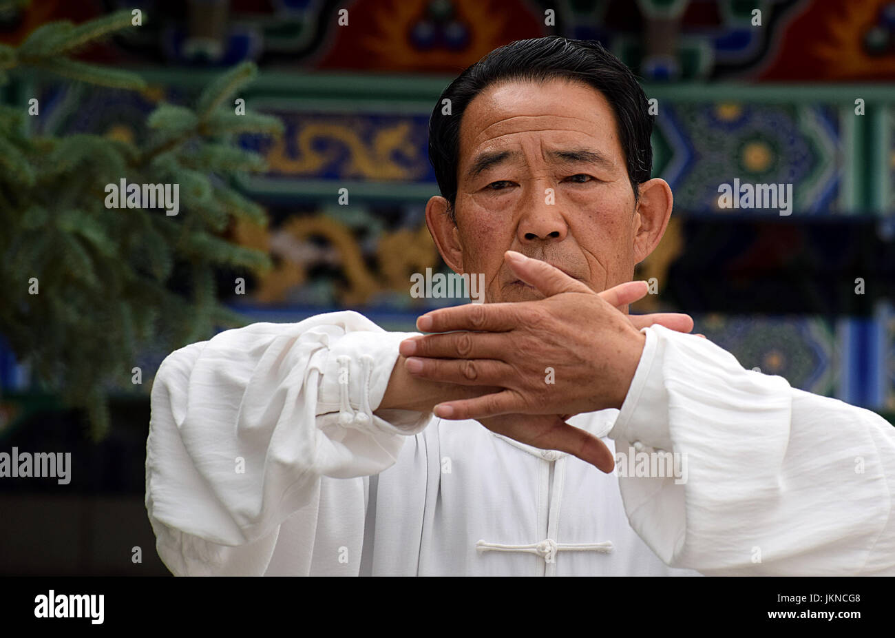 Il tai chi chi kung, master Foto Stock