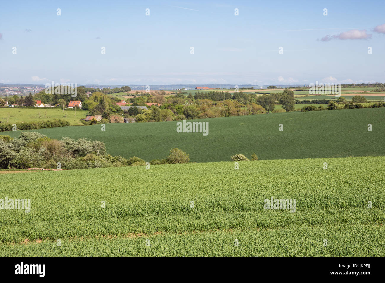 Sfumature di verde nei campi di grano e prati vicino a Wimereux presso la costa di Opale. Foto Stock