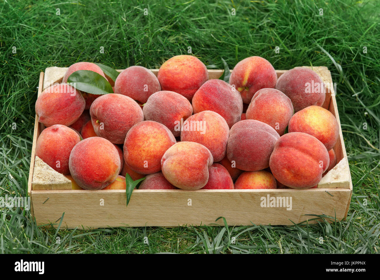 Cassa di fresche e mature le pesche Foto Stock