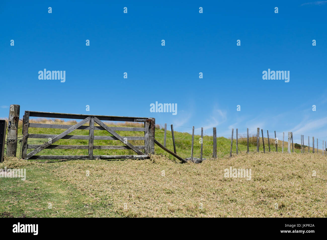 In legno antico cancello di legno e una recinzione in un campo nelle zone rurali della Nuova Zelanda, NZ con il blu del cielo e spazio di copia Foto Stock