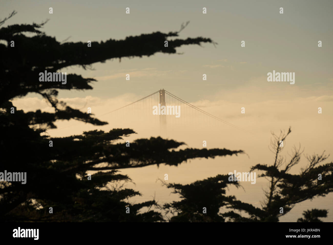 Vista del Golden Gate Bridge circondato dalla nebbia contro sky, San Francisco, California, Stati Uniti d'America Foto Stock