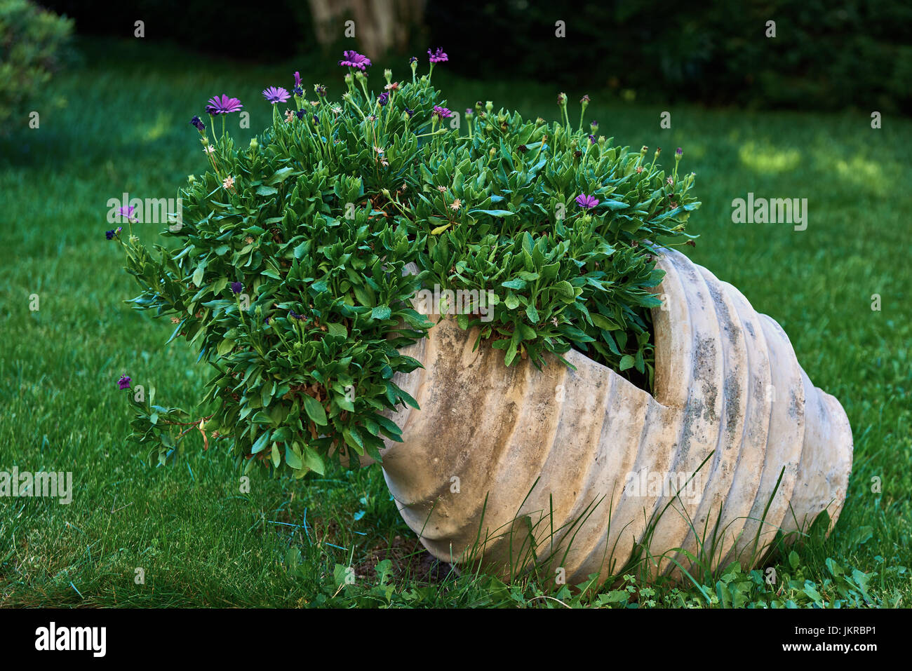 Antik,antic,Blumen,fiori,Garten,giardino,piante,Pflanzen,verde,gruen, Foto Stock