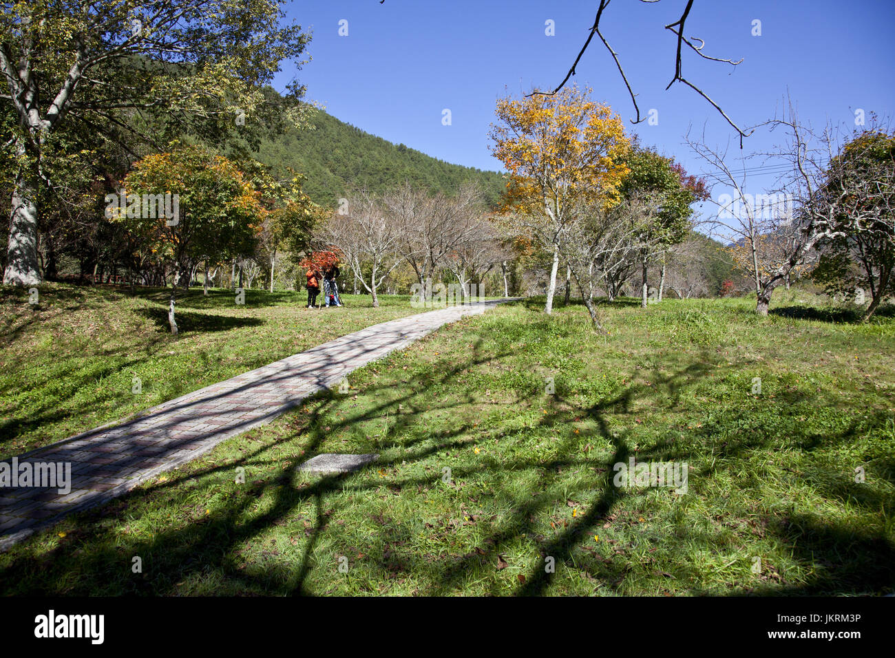 Centro di Taiwan Foto Stock