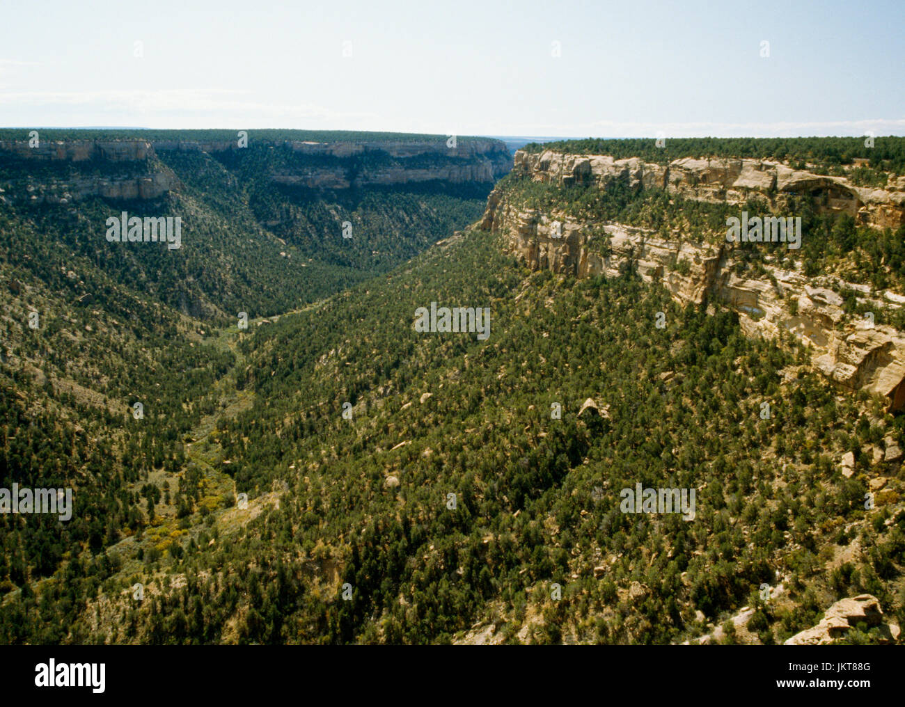 Guardando verso sud per la soda Canyon, il Parco Nazionale di Mesa Verde, Colorado, Stati Uniti d'America, dal carbonato Canyon Overlook. Balcone Casa dimora scogliera a destra sotto la rim. Foto Stock