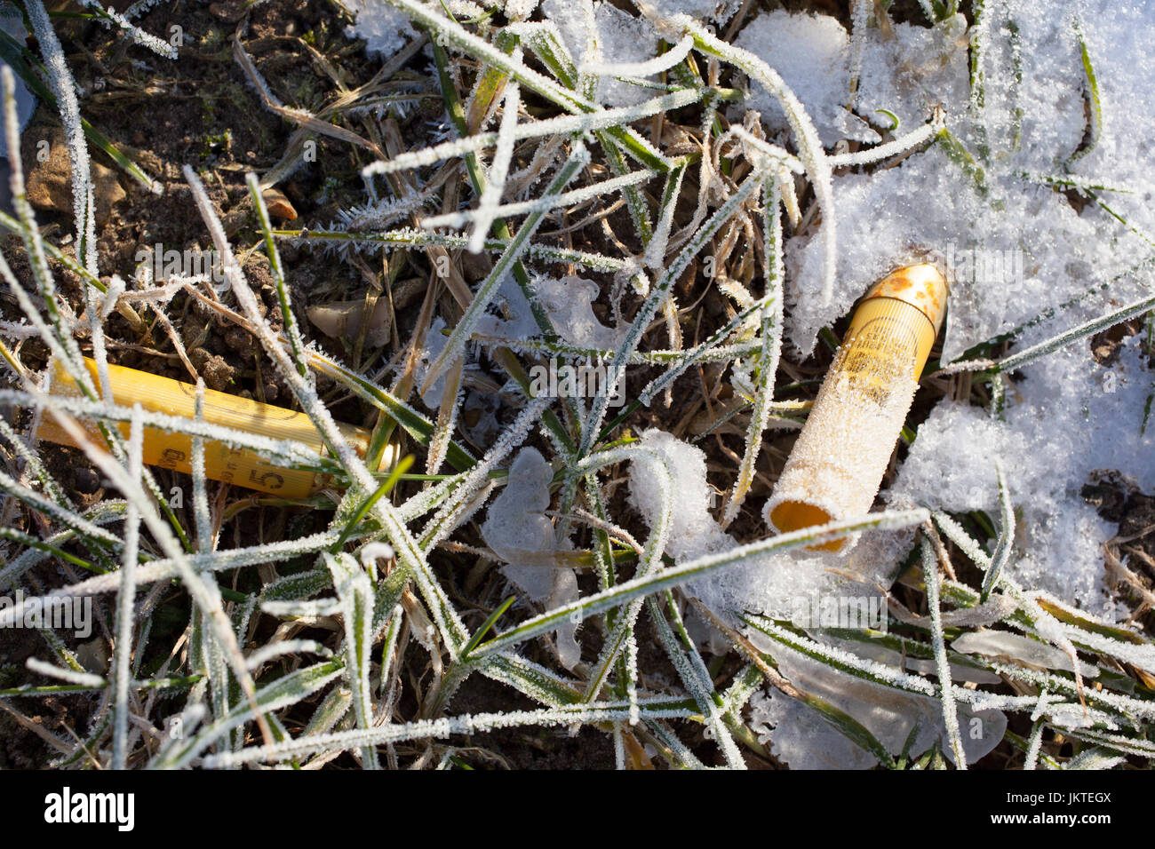 Gusci di fucile su terreno gelido Foto Stock