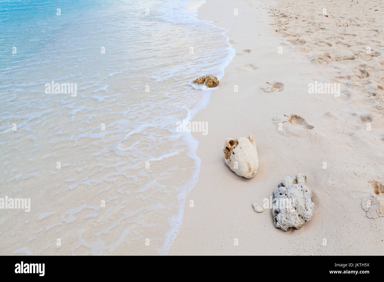 Le barriere coralline sulla riva della spiaggia caraibica Foto Stock