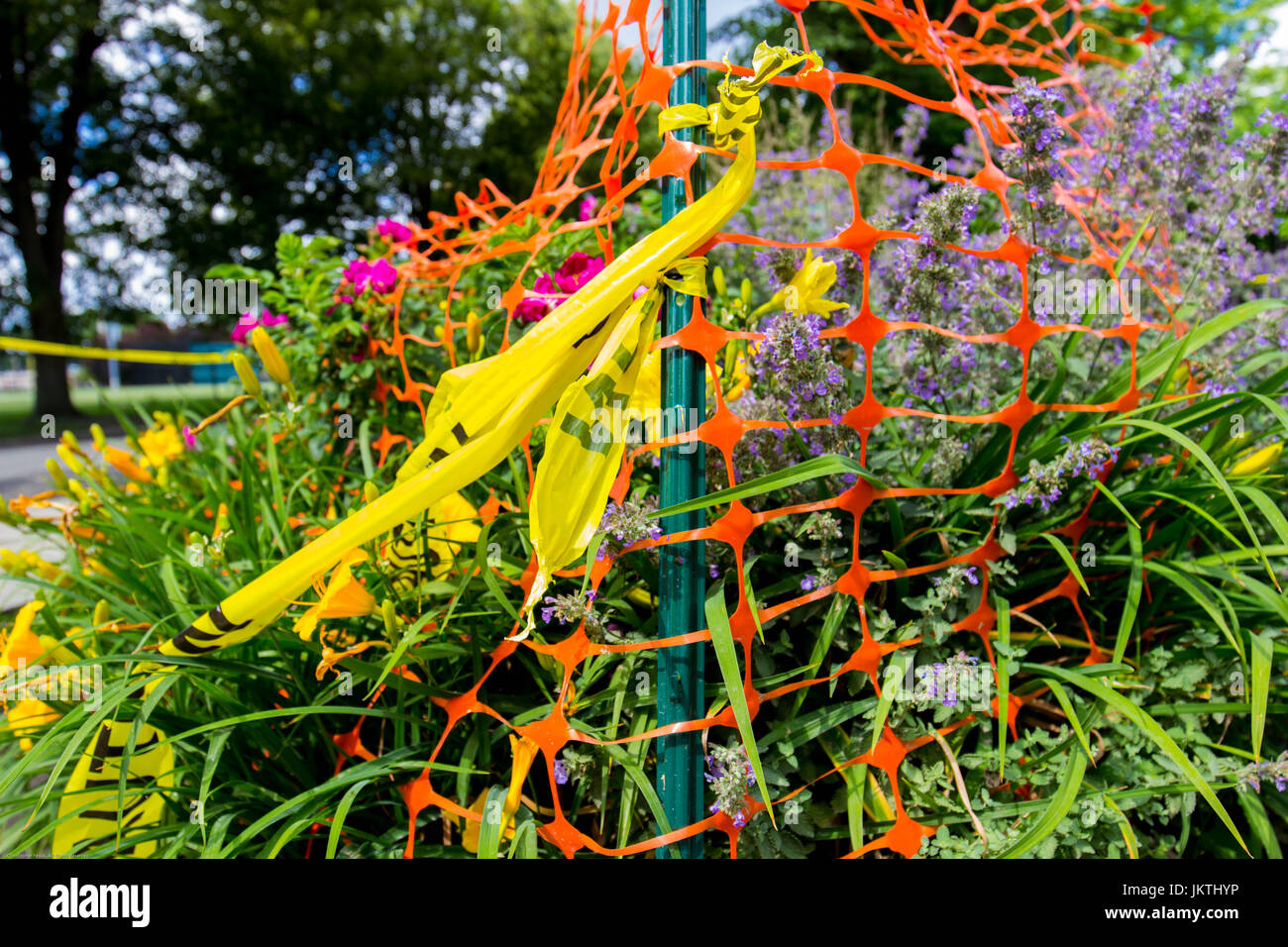 I fiori che erano legate da orange Nastro di avvertenza di fare una sintesi di scena colorati. Foto Stock