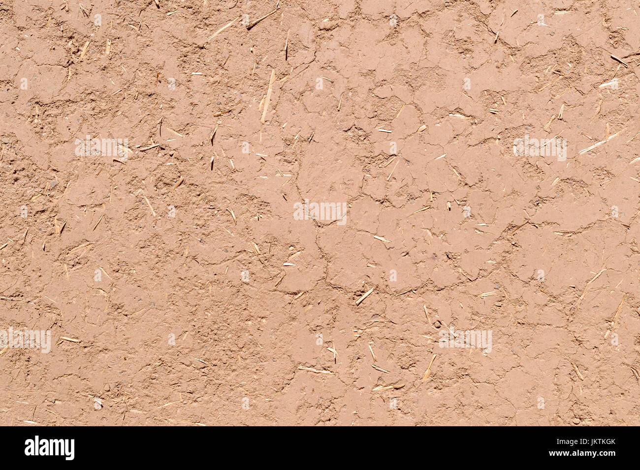 Telaio completo di close-up di un fango di Adobe parete in Nuovo Messico. La trama e le cannucce sono visibili. Foto Stock
