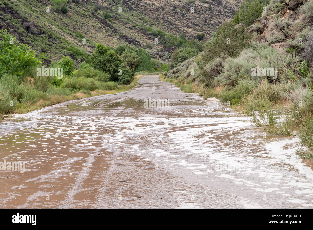 La strada da Pilar vicino a Taos nel Nuovo Messico lungo il fiume attraverso il Rio Grande Gorge è allagata dopo abbondanti piogge. Foto Stock