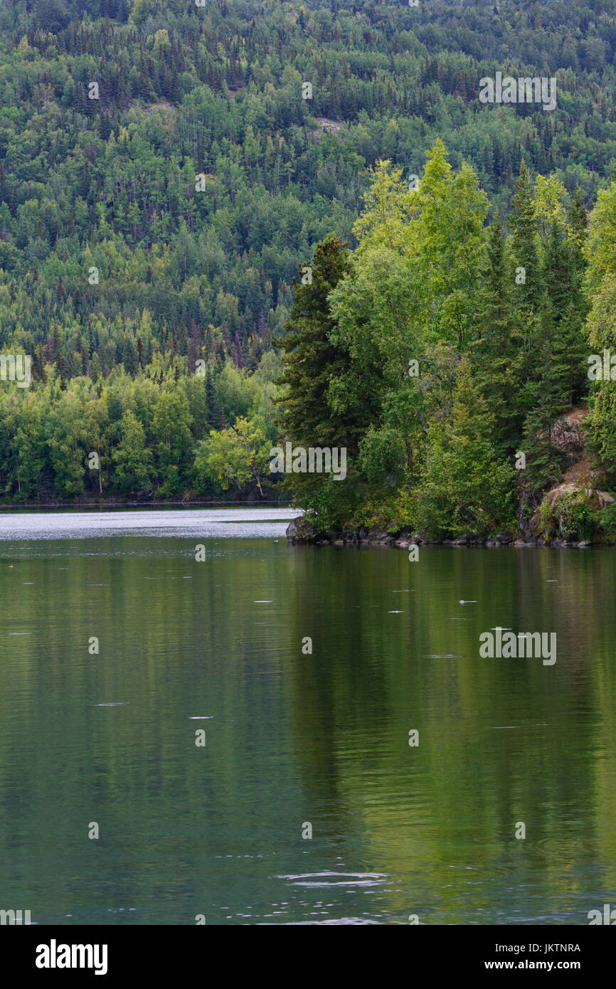 Nascosto lago riflette in estate in Alaska a Kenai National Wildlife Refuge. Foto Stock