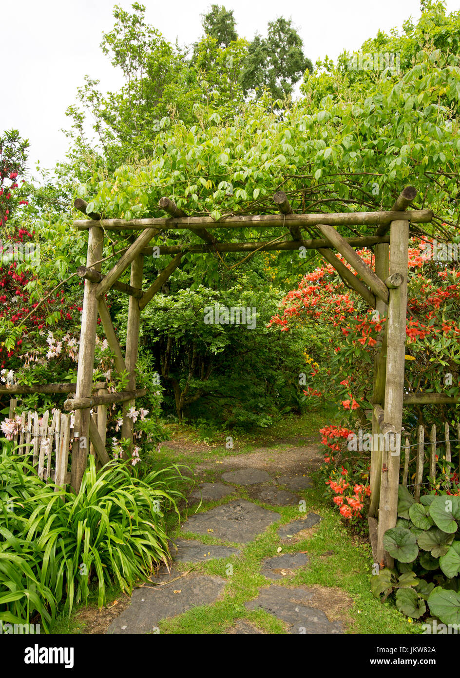 Arco in legno ingresso nel giardino inglese con alberi di arancio e fiorito  e rododendro denso fogliame di smeraldo Foto stock - Alamy
