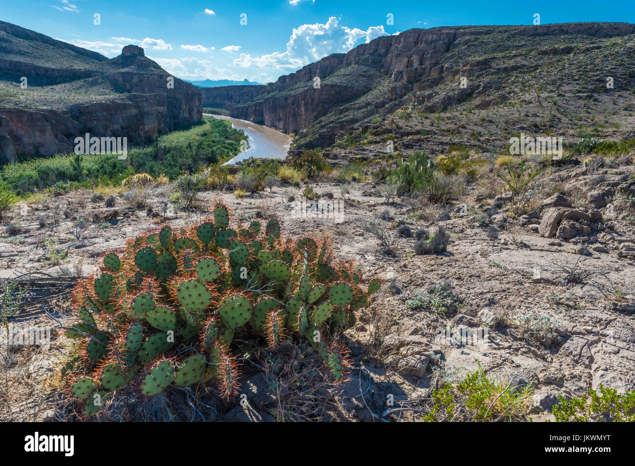 Rio Grande Fiume nel Parco nazionale di Big Bend Foto Stock