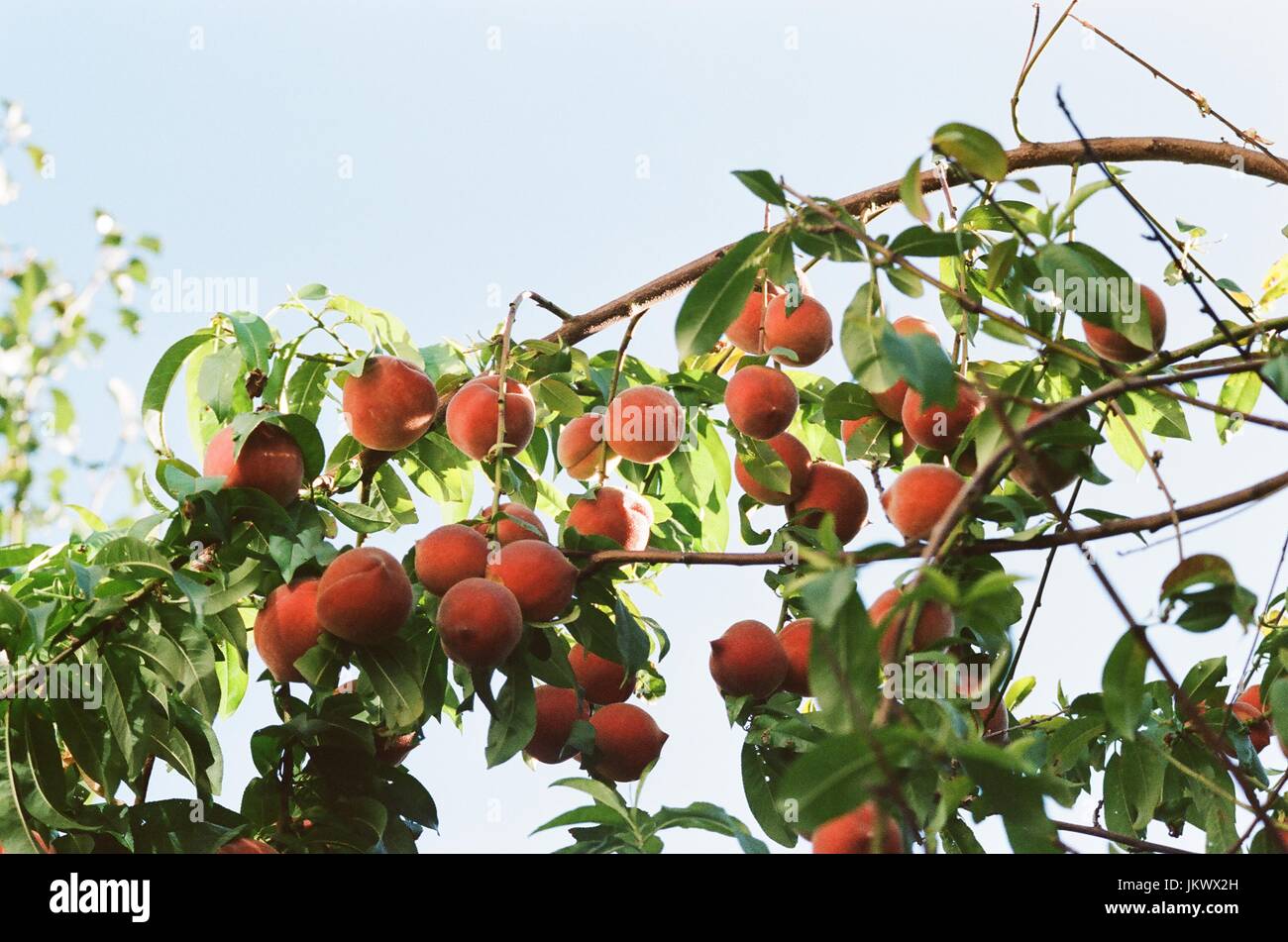 Fotografia scattata nel 2017 Foto Stock