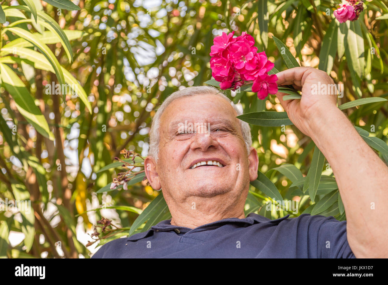 Ritratto di sorridere il vecchio uomo di prendersi cura di un oleandro fiore nel giardino di casa Foto Stock