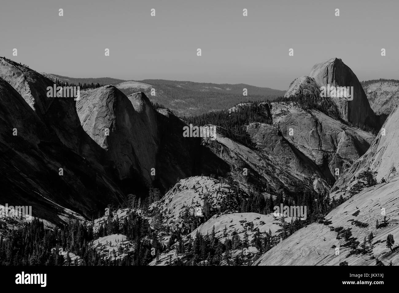 Yosemite orientale, TIoga Pass Regione Foto Stock