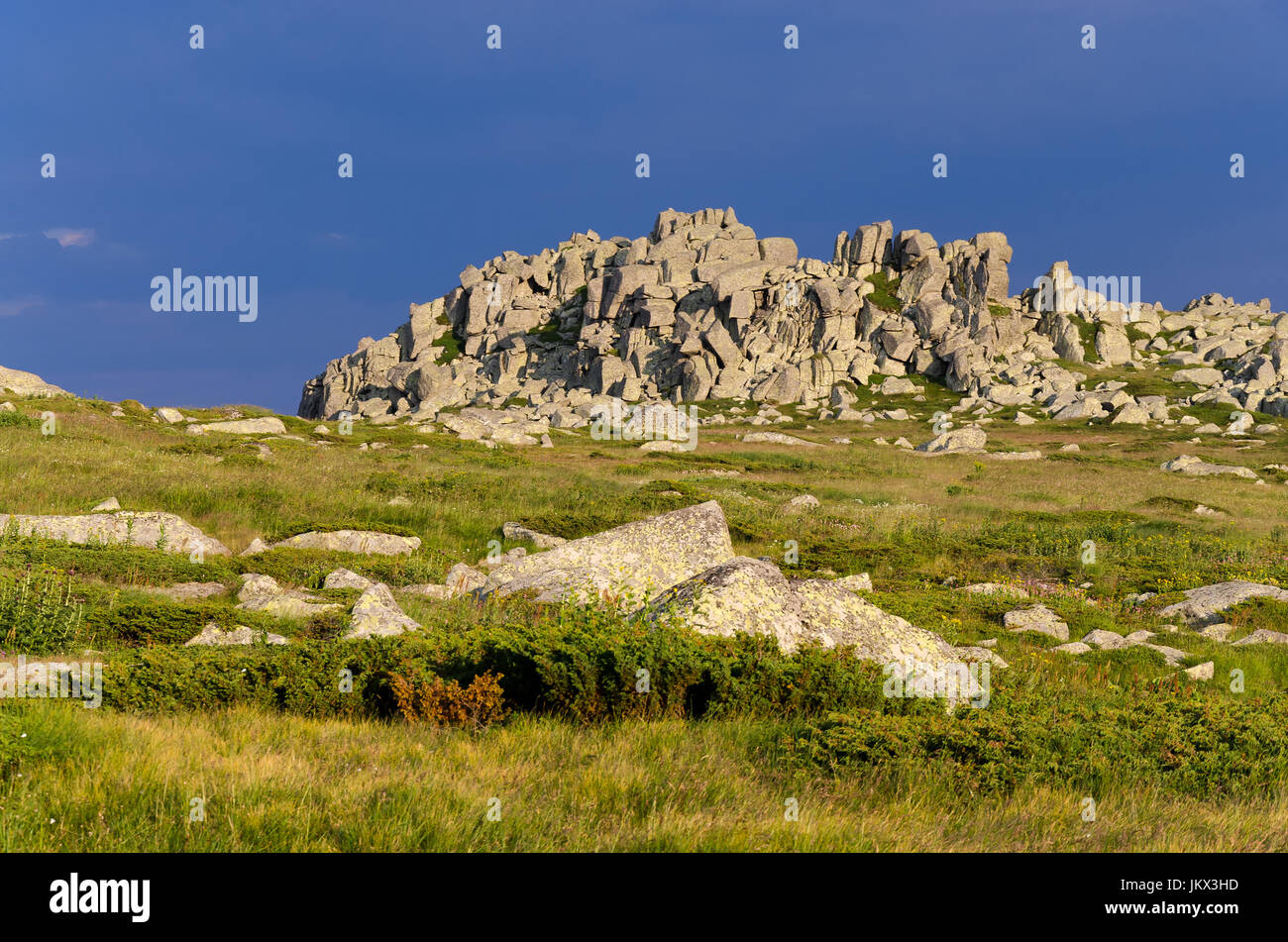 Rocce e erba verde a monte Vitosha, Bulgaria Foto Stock