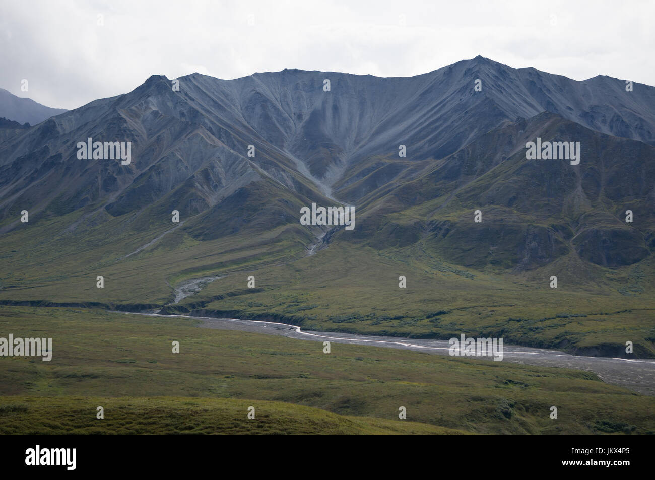 Alaskan vedute della montagna nel Parco Nazionale di Denali Foto Stock