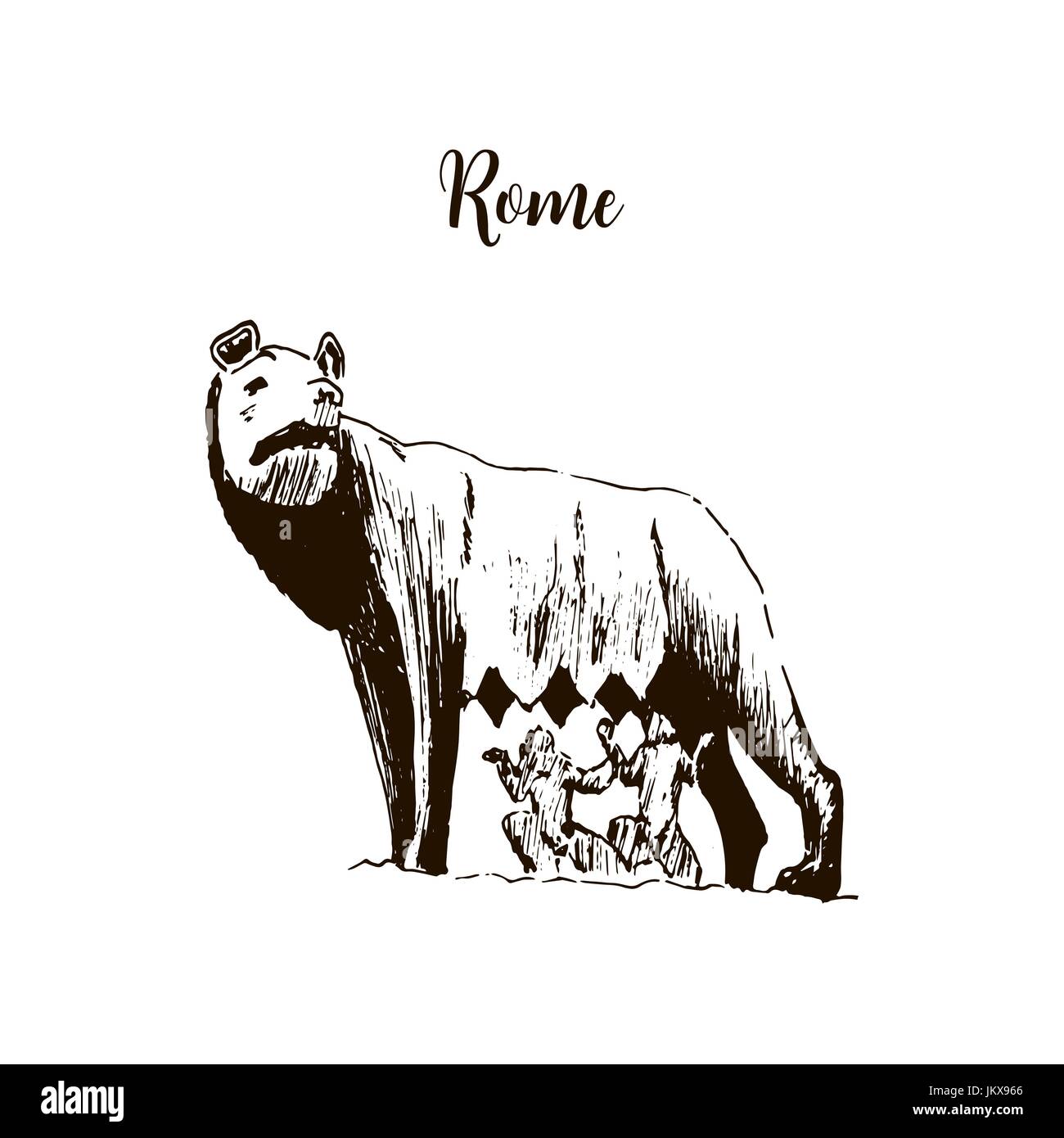 Lupo capitolino. Roma città simbolo. lupa t bella disegnati a mano disegno vettoriale illustrazione. Italia. isolato su bianco Illustrazione Vettoriale