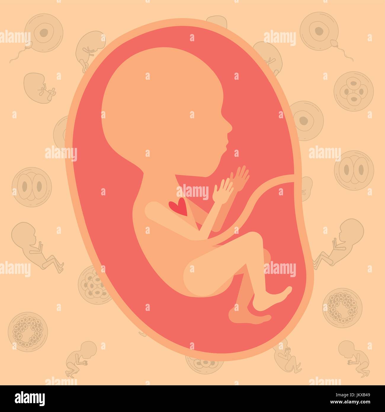 Colore di sfondo pattern icone di gravidanza con feto la crescita umana  nella placenta semestrer Immagine e Vettoriale - Alamy