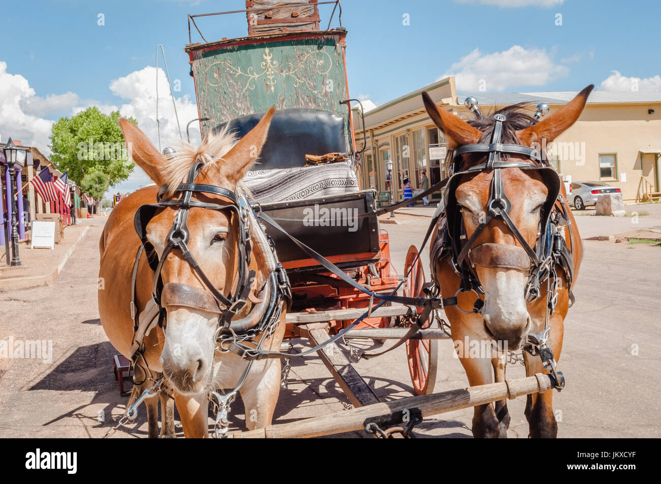 Muli tirare verso il basso la stagecoach Main Street in Tombstone Arizona Foto Stock