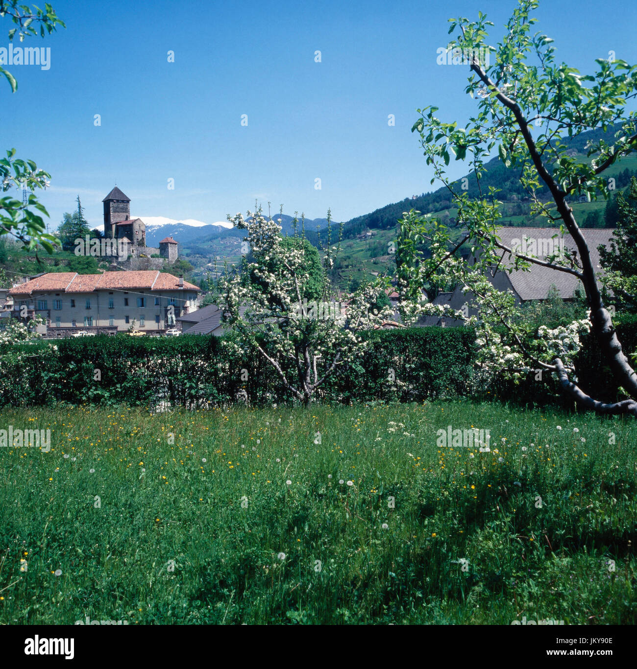 Blick auf die Burg Bronzolo Säbener am Berg oberhalb von Klausen in Südtirol, Italien 1980er Jahre. Vista di Bronzolo castello a Saebener Berg montagna sopra Klausen in Alto Adige, Italia degli anni ottanta. Foto Stock