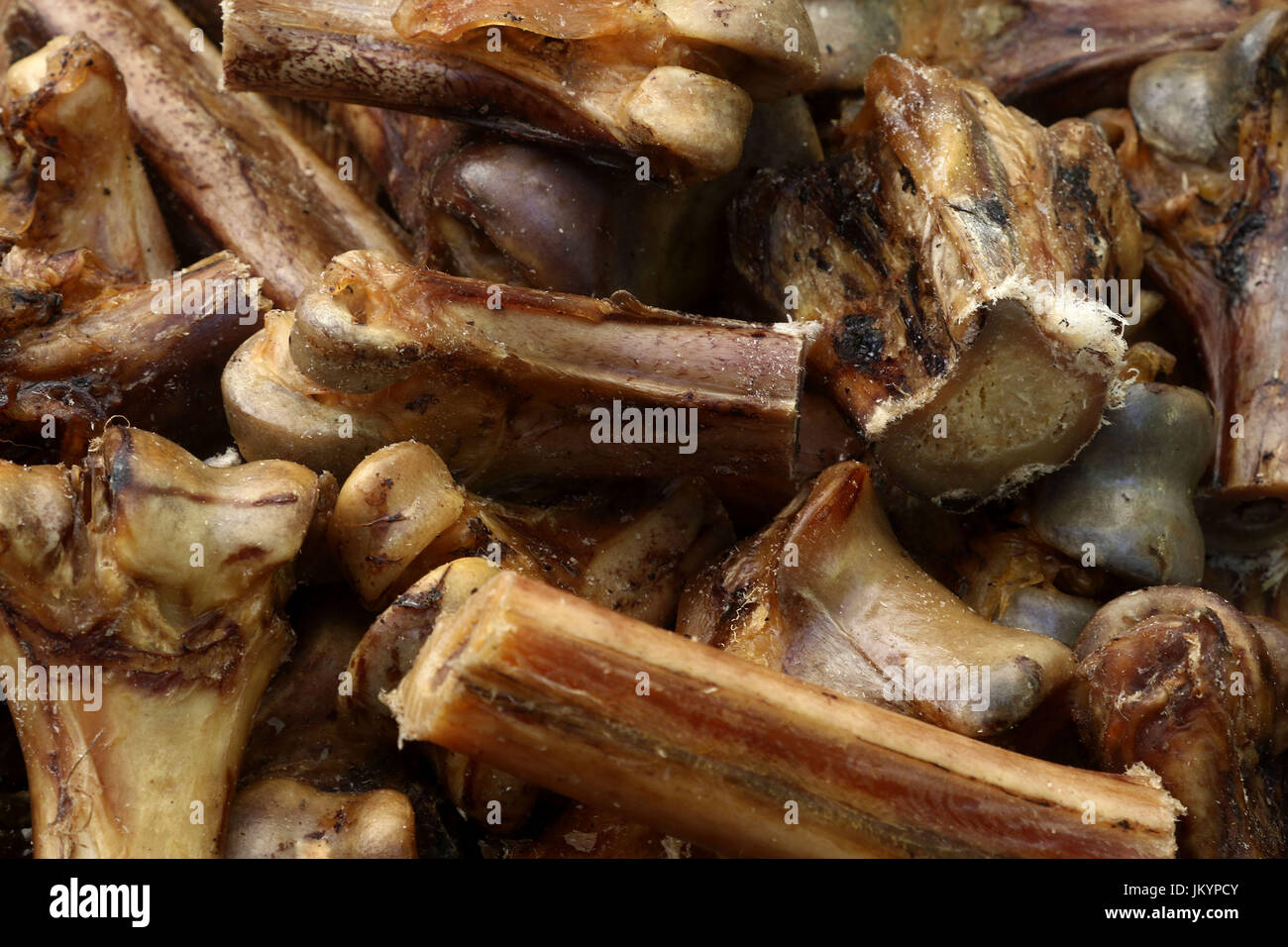 Fragranti di ossa di cani per i canini Foto Stock