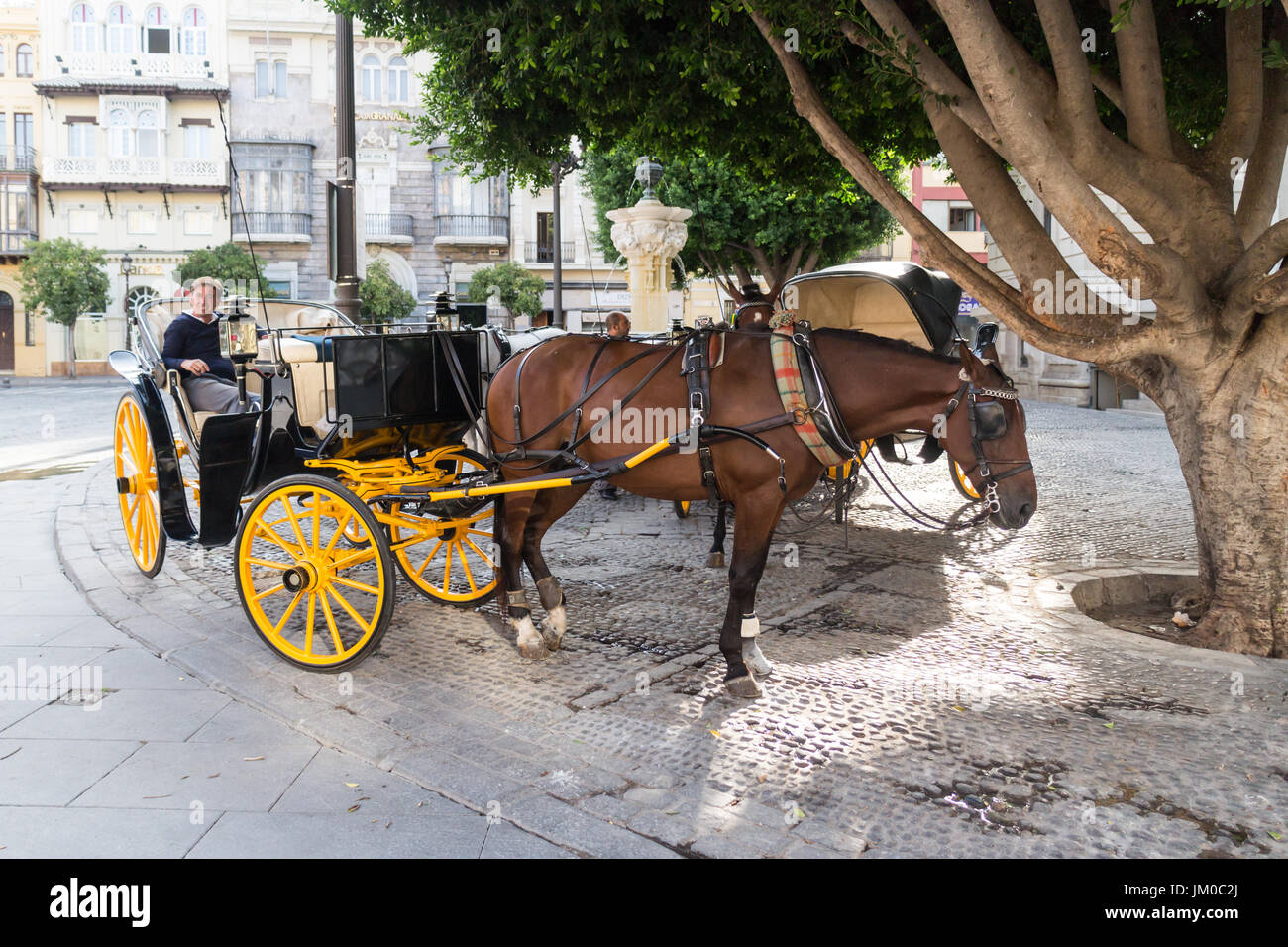 Uomo con cavallo e carrello di attesa per i clienti a Siviglia, Spagna Foto Stock