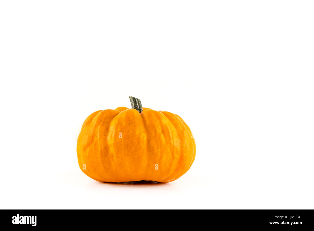 Una sola zucca (Jack essere poco) si trova di fronte a uno sfondo bianco come un forature Foto Stock