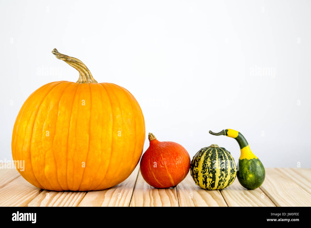 Molti bei diverse zucche giacciono su legno Foto Stock