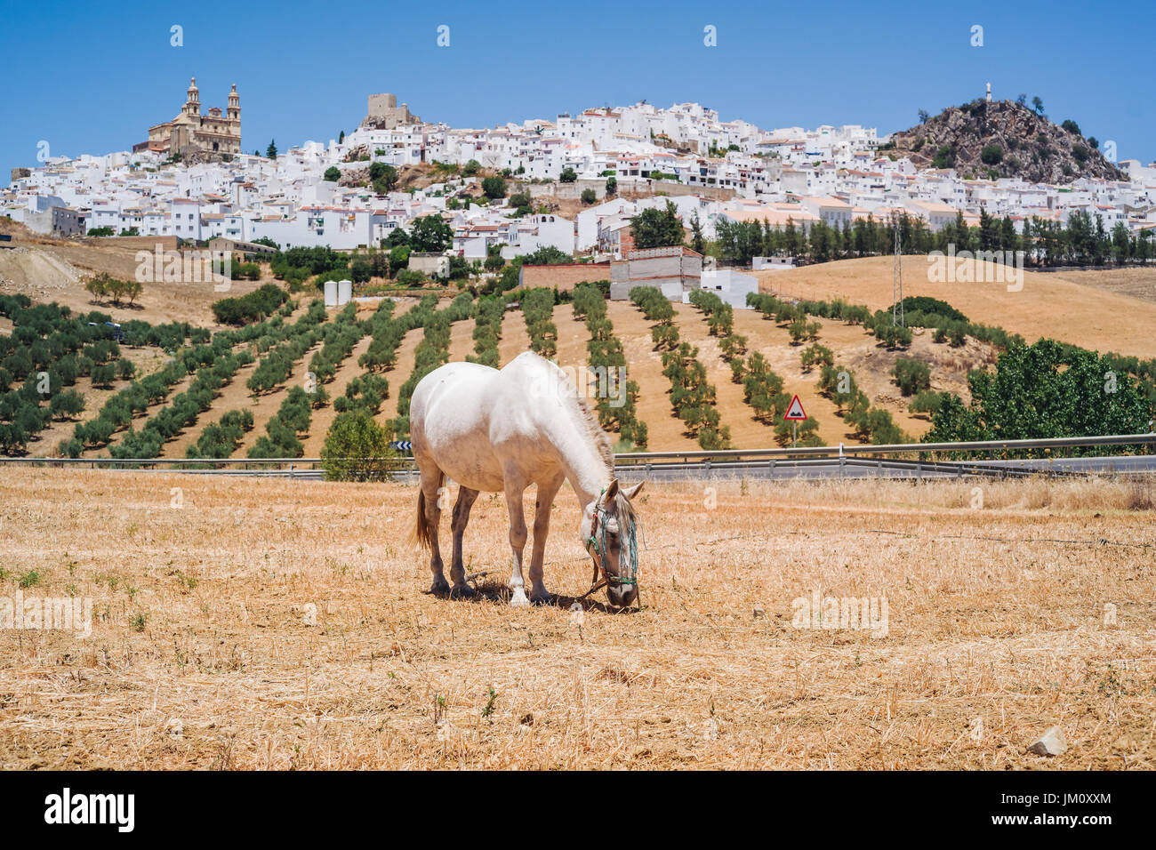 Il meraviglioso villaggio bianco di Olvera in Andalusia Foto Stock