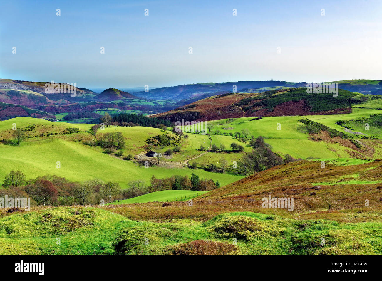 Una vista da Llantysilio del Clwydian colline e montagne, il Galles del Nord, Regno Unito Foto Stock