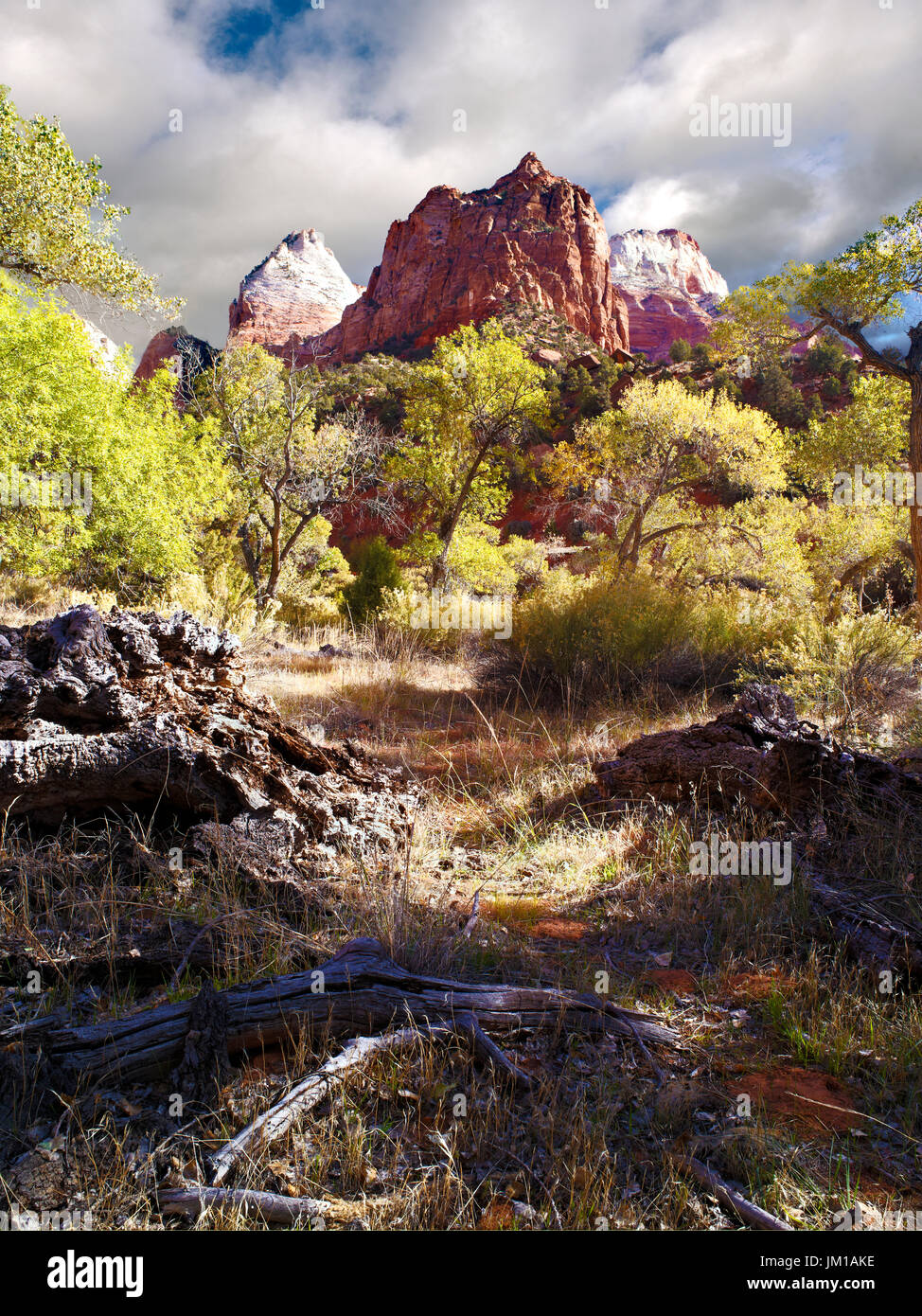 Una vista, nella stagione autunnale, del paesaggio di montagna del parco nazionale di Zion, Utah, Stati Uniti d'America Foto Stock