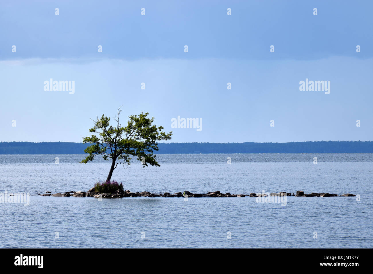 Piccola isola rocciosa e lonely tree metà del lago. Foto Stock