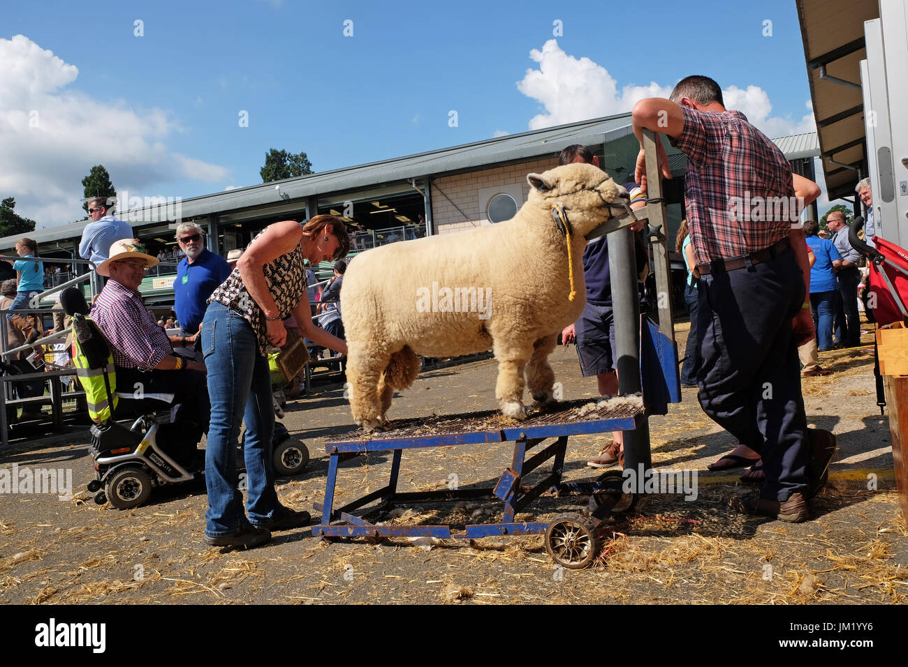 Royal Welsh Show, Builth Wells, Powys, Galles - Luglio 2017 - Ovini ottenendo un pennello finale e coccole prima di essere esposti nel giudicare l'anello nel secondo giorno di questo anni Royal Welsh Show - il Royal Welsh è più grande deuropa spettacolo agricolo. Foto Steven Maggio / Alamy Live News Foto Stock