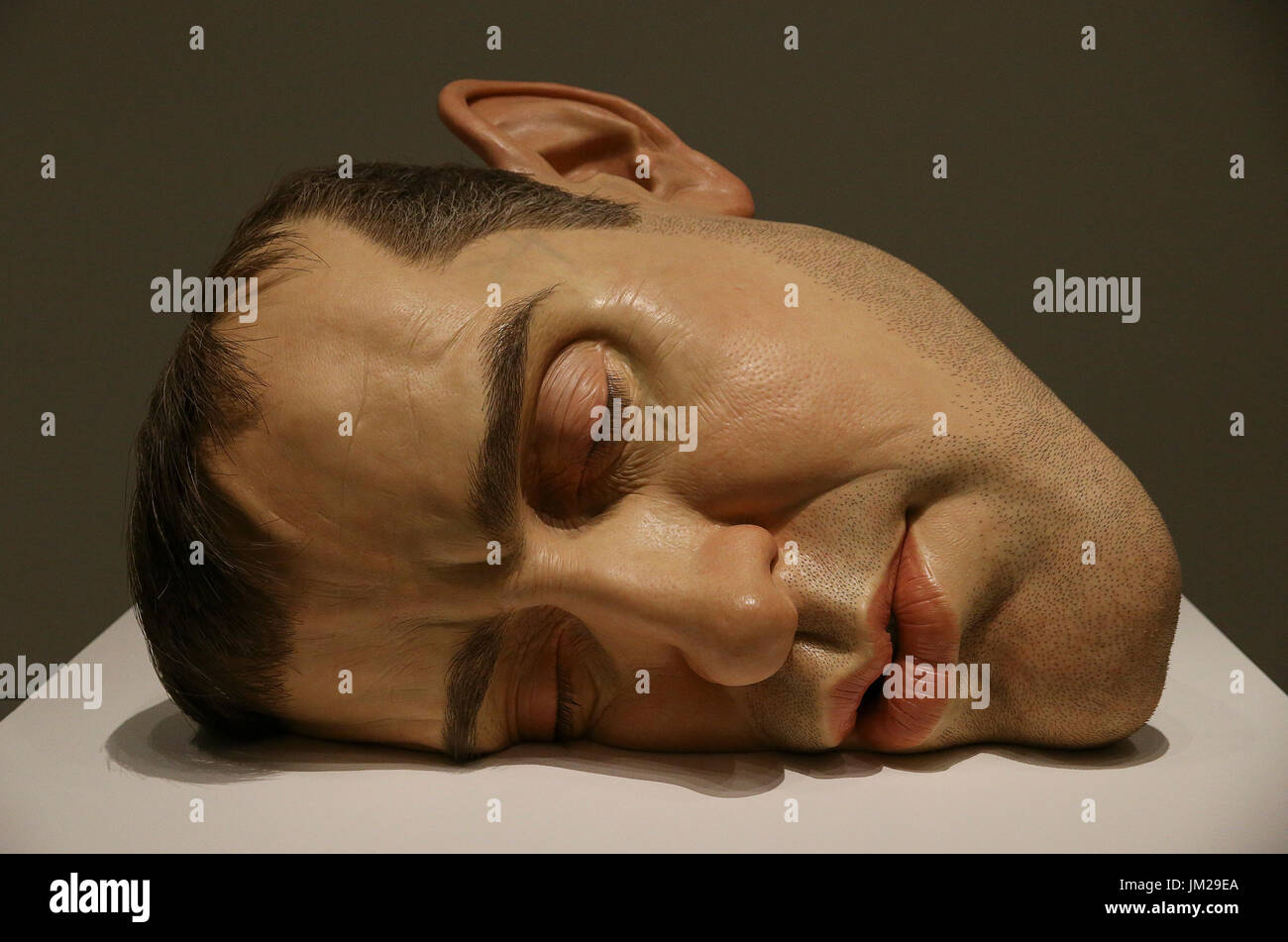 Houston, Stati Uniti d'America. Xxv Luglio, 2017. Artista australiano Ron Mueck's 'Mask II", una grande scultura di un autoritratto, è esposto al Museo delle Belle Arti di Houston (MFAH) a Houston, Texas, Stati Uniti, il 25 luglio 2017. Credito: Yi-Chin Lee/Xinhua/Alamy Live News Foto Stock