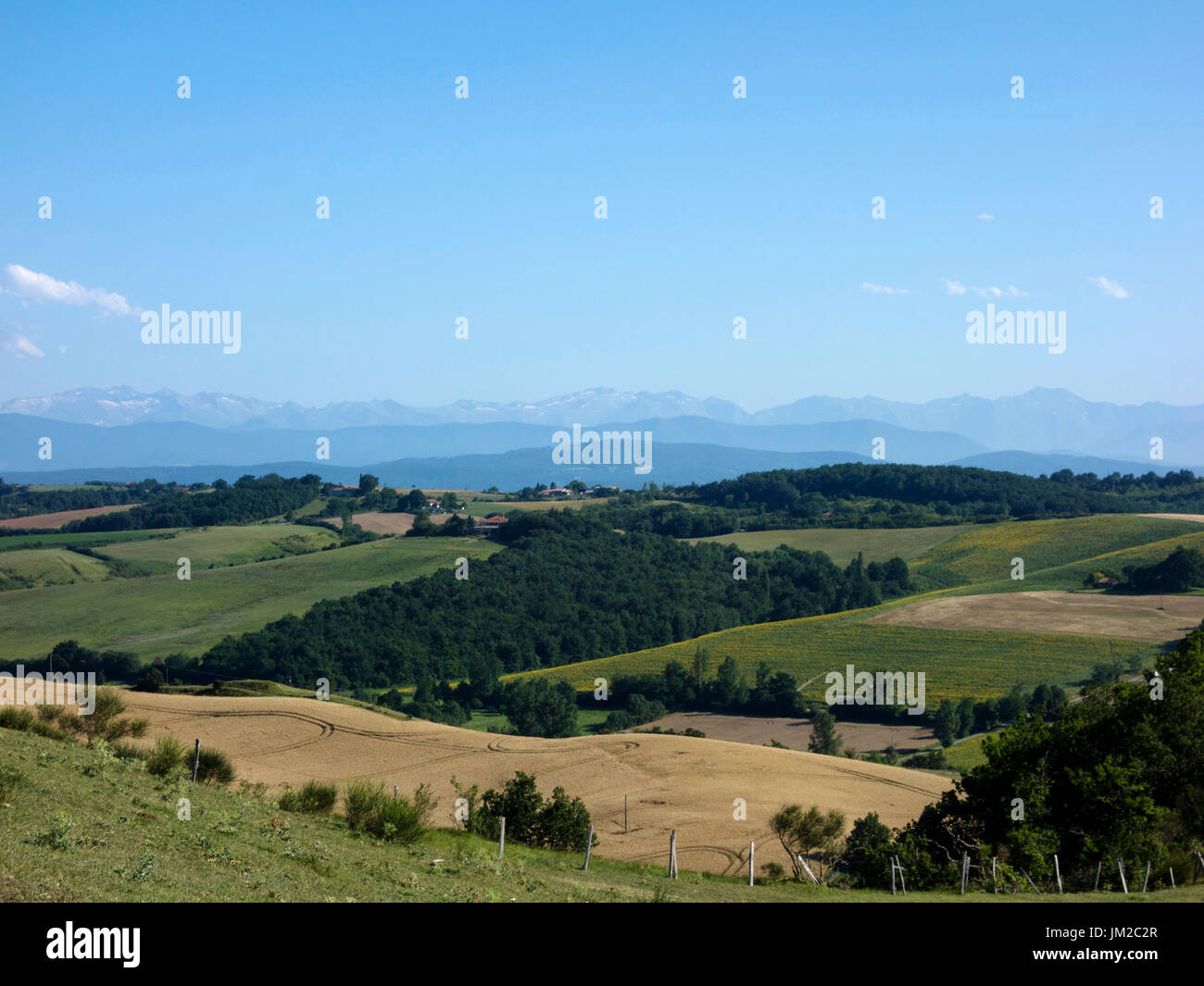 Campagna francese nella regione Midi-Pyrenees, con pirenei in background Foto Stock