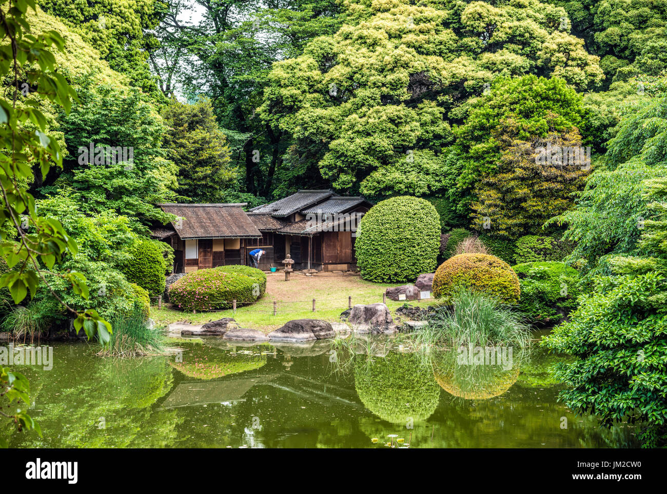 Giardino in stile giapponese nel cortile del Museo Nazionale di Tokyo presso il Parco Ueno, Tokyo, Giappone Foto Stock