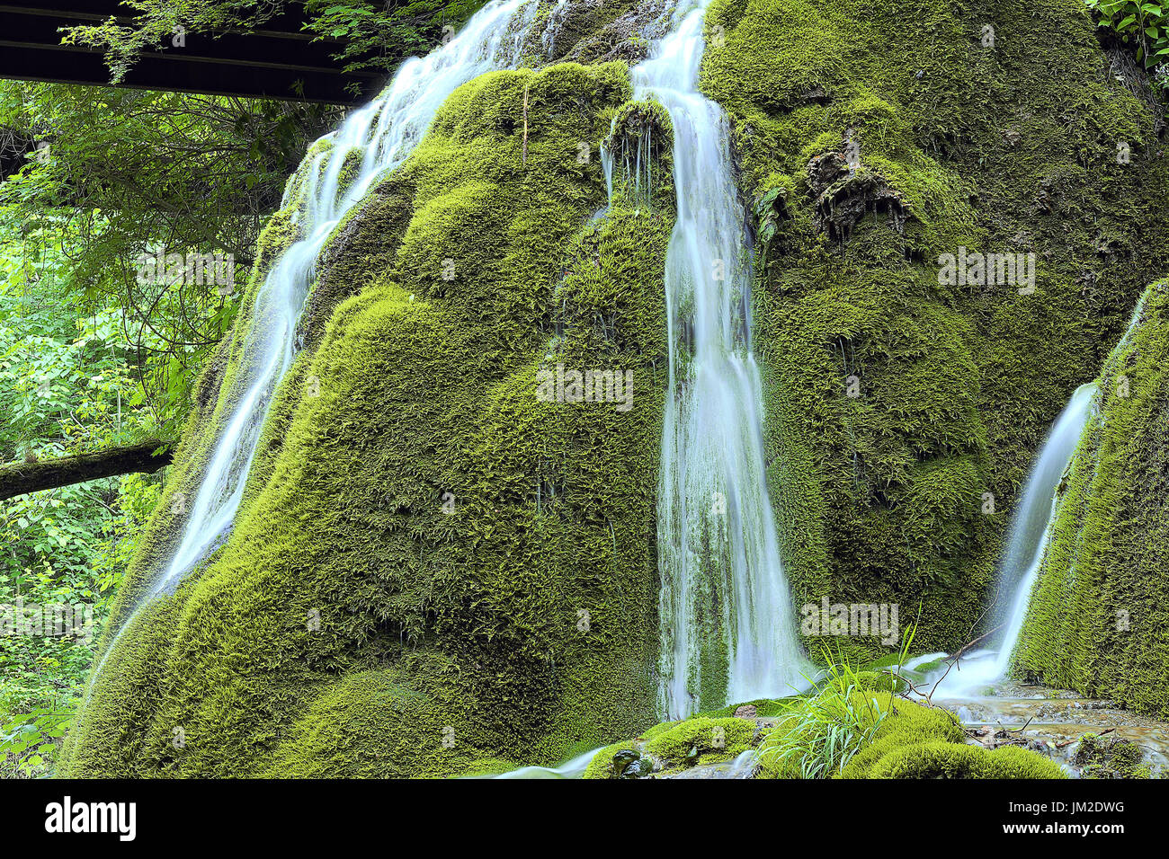 Bella cascata sulla roccia di muschio, cascata Bigar dettaglio Foto Stock