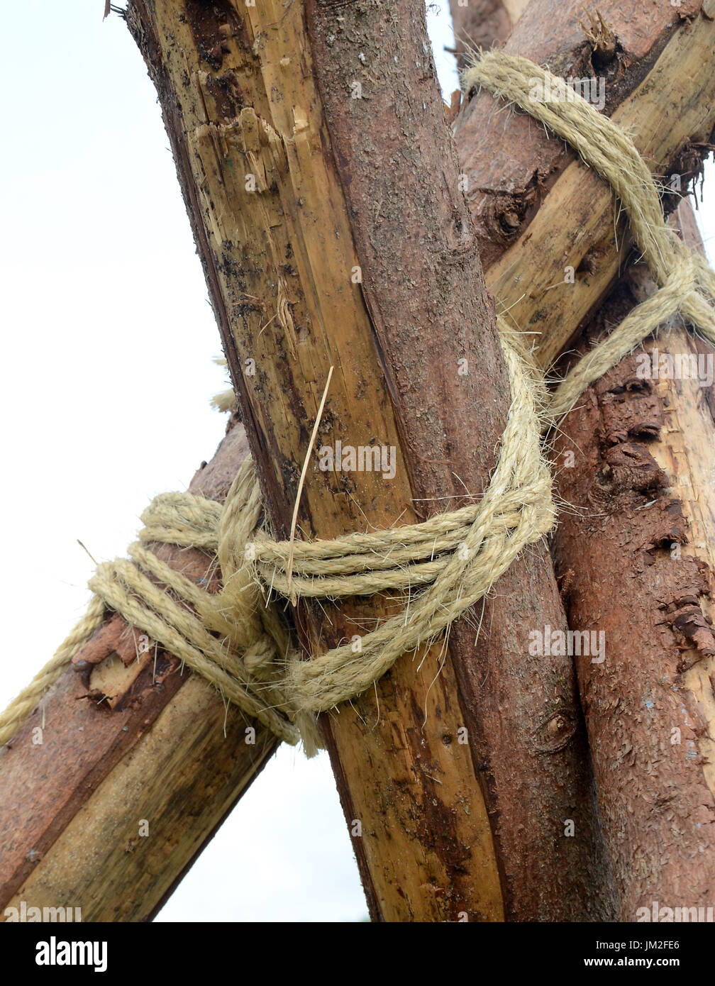 Spruce steli legati insieme scout-saggio con la corda. Foto Stock