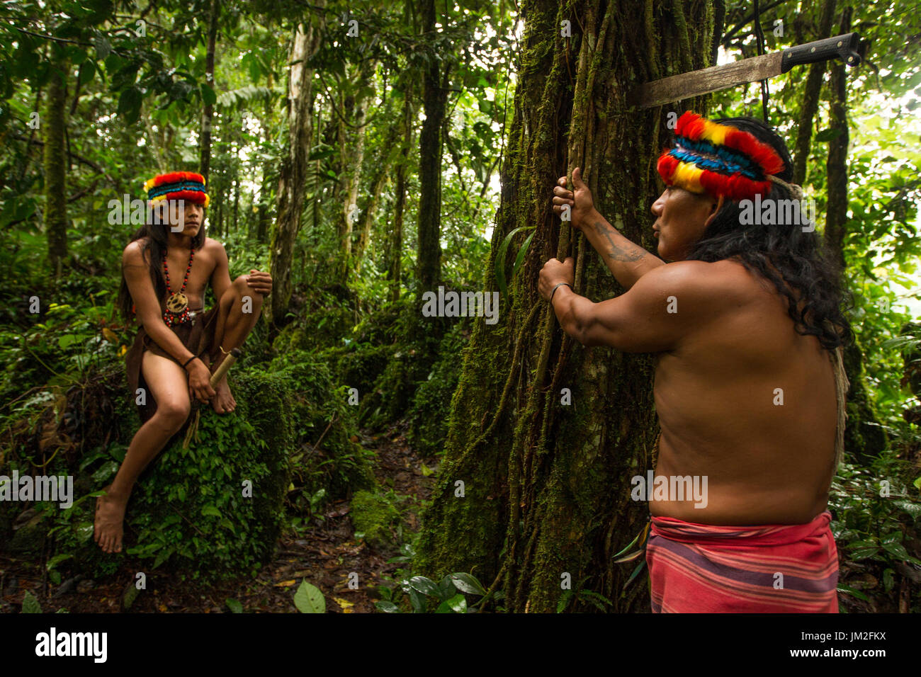 Un LONE explorer ha documentato un sciamano amazzonico di ricerca per trovare l'apprendista che la porterà in millenni di tradizione tramandata da lui di h Foto Stock