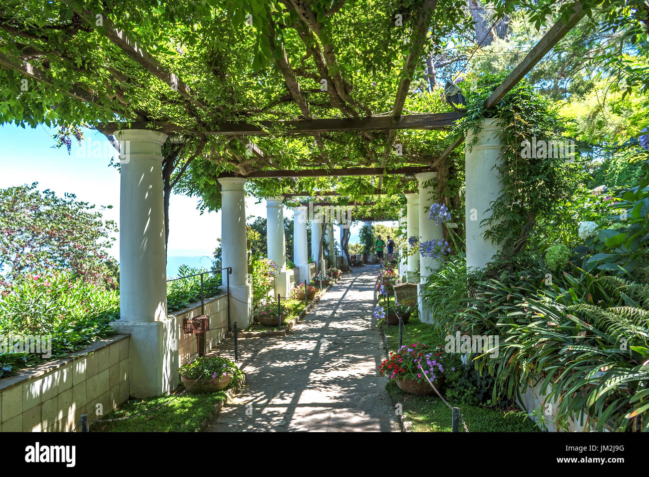 I giardini di Villa San Michele ad Anacapri sull'isola di Capri, Italia. Foto Stock