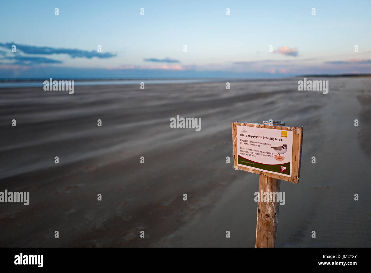 Segnale Non disturbare per proteggere gli uccelli di allevamento come inanellato Plover e Fraticello sulla spiaggia, Holkham Riserva Naturale Nazionale, North Norfolk Foto Stock