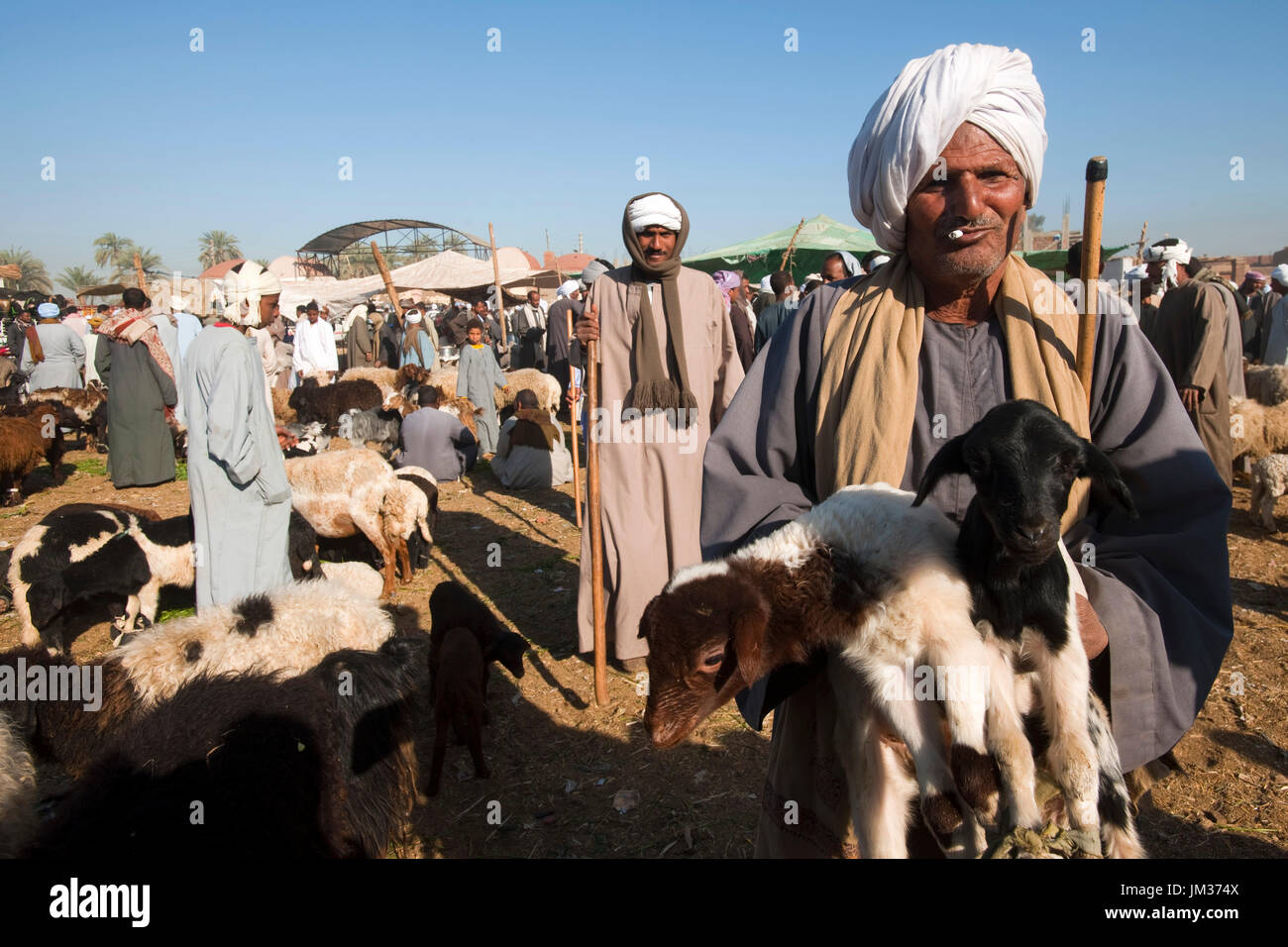 Aegypten ha, am Kamelmarkt von Darau (Daraw) beim St‰dtchen Kom Ombo s'dlich von Assuan Foto Stock