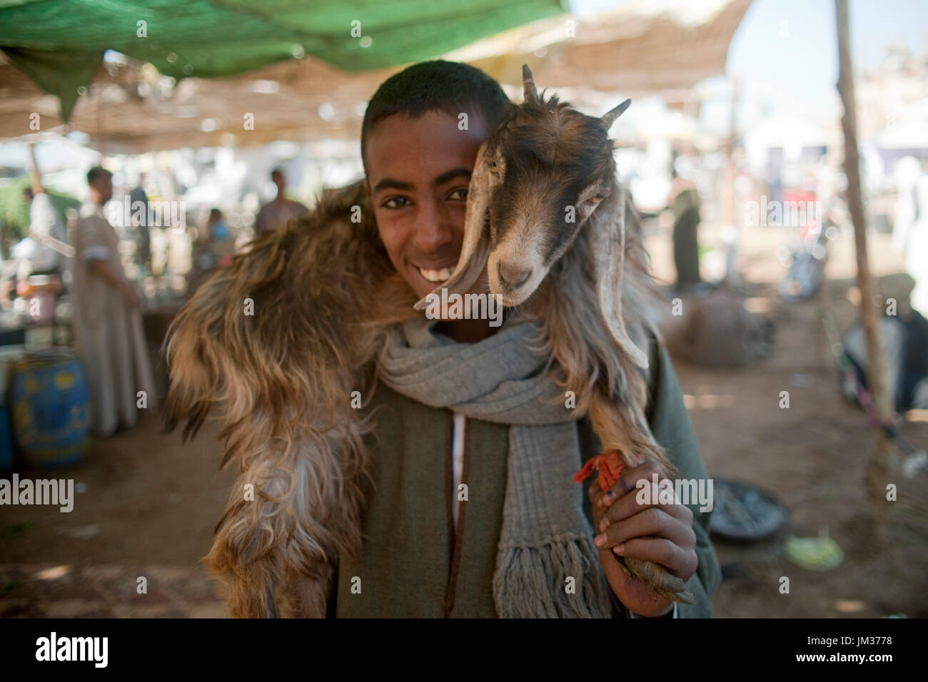 Aegypten ha, am Kamelmarkt von Darau (Daraw) beim St‰dtchen Kom Ombo s'dlich von Assuan Foto Stock